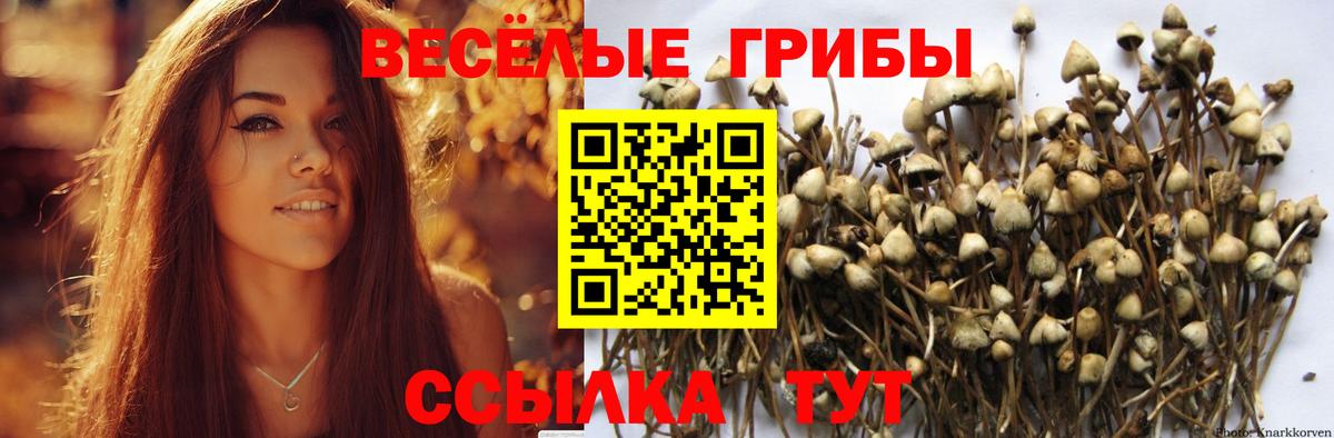 Еманжелинск  Псилоцибиновые грибы Cubensis  Вход с VPN  Псилоцибиновые грибы ЛСД 